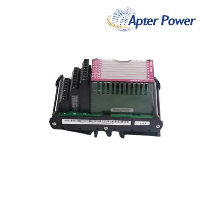 FOXBORO P0916AG Field Terminal
