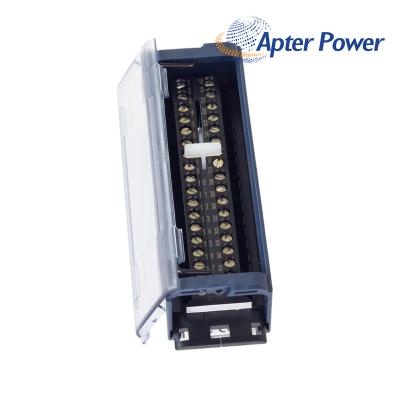 GE IC694TBB032 Terminal Block
