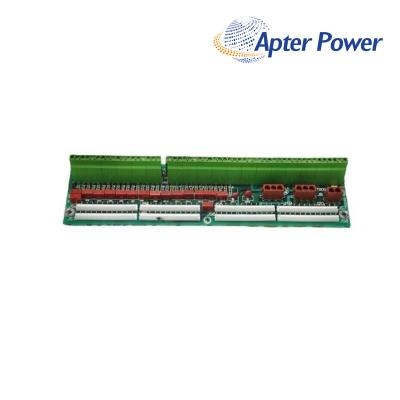 General Electric DS200DTBDG1ABB Termination Board
