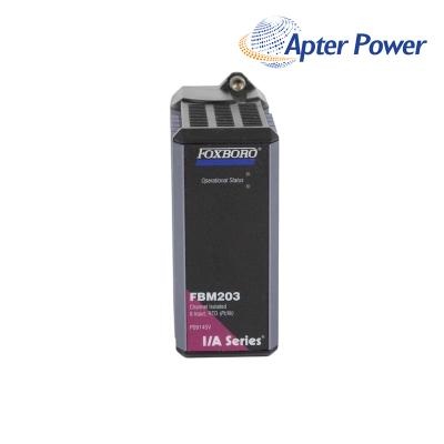 Invensys Foxboro FBM203 P0916SV RTD Input Module
