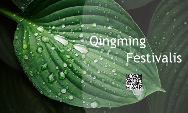 Geleneksel Çin Festivali
